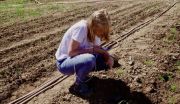 Aslaug-at-work-in-the-fields